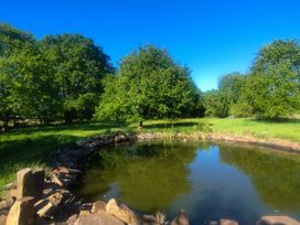 A pond surrounded by rocks and trees at Dinefwr Cottage near Golden Grove near Llandeilo