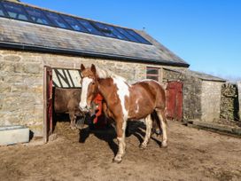 Dove  Cottage - Northumberland - 1094738 - thumbnail photo 14