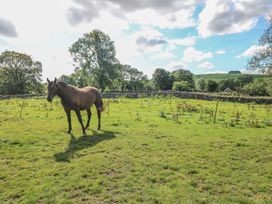 The Old Cow Shed - Peak District - 1096131 - thumbnail photo 15