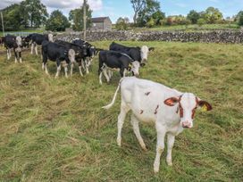 The Old Cow Shed - Peak District - 1096131 - thumbnail photo 16