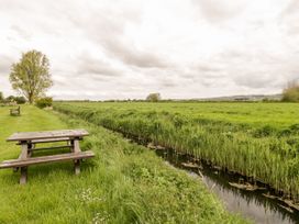 Oak Tree - Somerset & Wiltshire - 1096804 - thumbnail photo 26