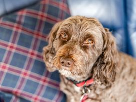 Willow - Dorset - 1096952 - thumbnail photo 4