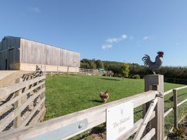 An outdoor area with chickens and a wooden shed at The Hideout Hens in Allerston near Thornton Dale