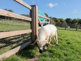 A sheep grazing near a wooden fence outdoors at Foxes Den in Allerston near Thornton Dale