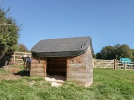 A sheep near a wooden animal shelter at Foxes Den Allerston near Thornton Dale