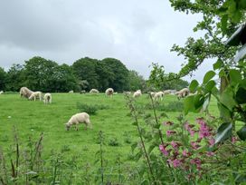 Kingfisher Cottage - Devon - 1097502 - thumbnail photo 22