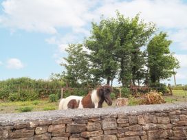 Rose Cottage - County Clare - 1097663 - thumbnail photo 27