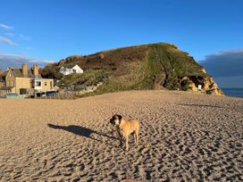 The Beach House - Dorset - 1099309 - thumbnail photo 29