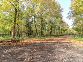 Woodland Lodge - Shropshire - 1101686 - thumbnail photo 38