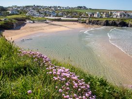 A beach with flowers and houses in the background at Trelowen in St Issey near Padstow