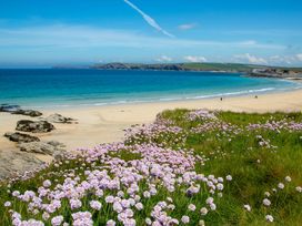 A beach with sand and flowers at Trelowen in St Issey near Padstow
