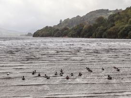 Coed Y Glyn - North Wales - 1103116 - thumbnail photo 38