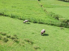 Luna Holiday Pod - Shropshire - 1103307 - thumbnail photo 16