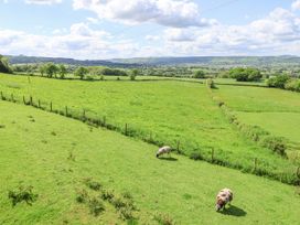 Luna Holiday Pod - Shropshire - 1103307 - thumbnail photo 17