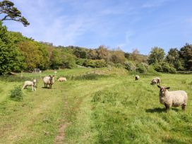 The Retreat - Isle of Wight & Hampshire - 1104466 - thumbnail photo 22