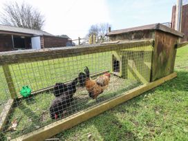 Hillside Farm Retreat - Isle of Wight & Hampshire - 1104466 - thumbnail photo 20