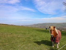 Hillside Farm Retreat - Isle of Wight & Hampshire - 1104466 - thumbnail photo 21