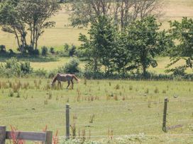 Garland - Dorset - 1105442 - thumbnail photo 23