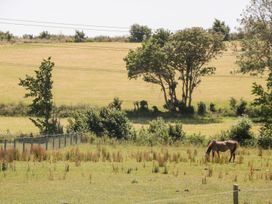 Egdon Heath - Dorset - 1105450 - thumbnail photo 32