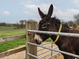 Broadstones - Dorset - 1105472 - thumbnail photo 29