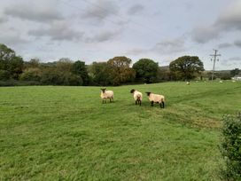 Broadstones - Dorset - 1105472 - thumbnail photo 27