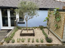 A garden with olive and fig trees at The Bakehouse in Lyme Regis