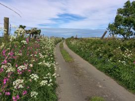 Moonlight Cottage - North Wales - 1107565 - thumbnail photo 44