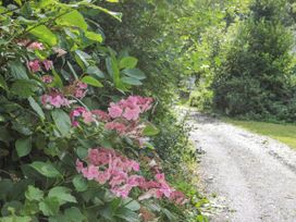 Tal Eryr - North Wales - 1107798 - thumbnail photo 24