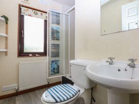 A bathroom with a toilet, sink, and shower at 16 Forest Lodge in Chwilog