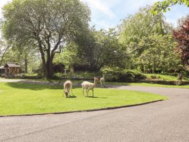 Hidden Oasis - Yorkshire Dales - 1108310 - thumbnail photo 2