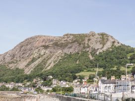 Aeronfa - North Wales - 1108364 - thumbnail photo 23