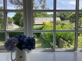 View of garden and trees from a window at Ty Croes in St. George near Bodelwyddan