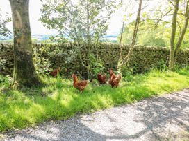 The Stables - Peak District - 1109079 - thumbnail photo 20