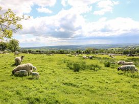 The Stables - Peak District - 1109079 - thumbnail photo 21