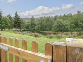 Cedar - Scottish Highlands - 1109440 - thumbnail photo 15