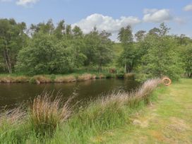 Cedar - Scottish Highlands - 1109440 - thumbnail photo 17