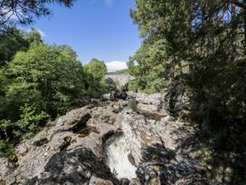 Cedar - Scottish Highlands - 1109440 - thumbnail photo 27