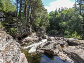 Cedar - Scottish Highlands - 1109440 - thumbnail photo 32
