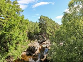 Cedar - Scottish Highlands - 1109440 - thumbnail photo 34