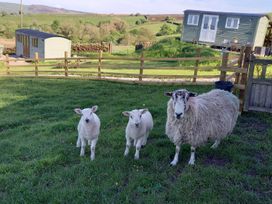 The Journeyman Luxury Shepherds Hut - Lake District - 1109739 - thumbnail photo 4