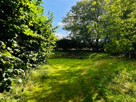 A garden area with grass and trees at Skylarks near to Dingwall