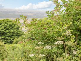 Dorset View - Dorset - 1111804 - thumbnail photo 27