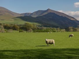 The Residence - Lake District - 1112371 - thumbnail photo 40