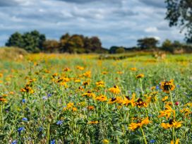 Veiko - Mayflower Meadow - North Yorkshire (incl. Whitby) - 1112700 - thumbnail photo 18