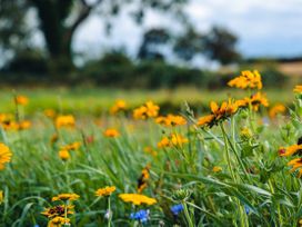 Veiko - Mayflower Meadow - North Yorkshire (incl. Whitby) - 1112700 - thumbnail photo 19