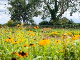 Veiko - Mayflower Meadow - North Yorkshire (incl. Whitby) - 1112700 - thumbnail photo 21