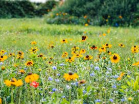 Veiko - Mayflower Meadow - North Yorkshire (incl. Whitby) - 1112700 - thumbnail photo 22