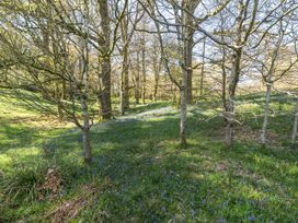 A scene with trees and bluebells on the ground at Jubilee Bungalow Pet Friendly Sleeps 3 Penrith