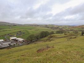 Beech - Lake District - 1112911 - thumbnail photo 14