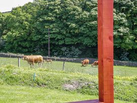 Cows grazing in a field with trees in the background at Beech in Ulverston